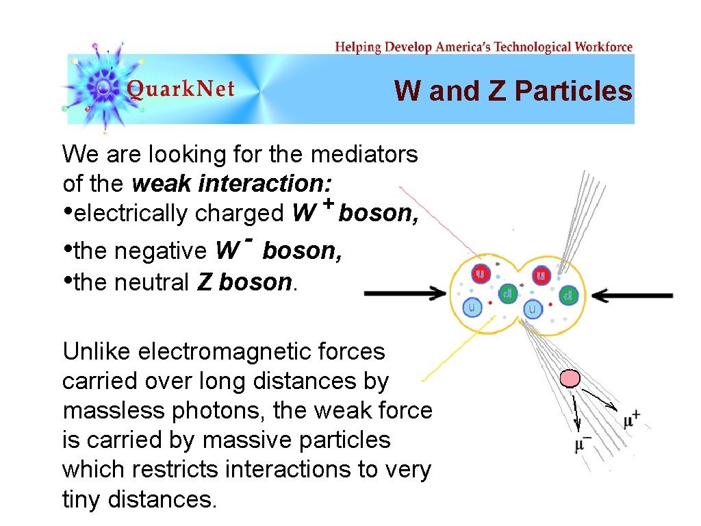 W and Z Particles We are looking for the mediators of the weak interaction: