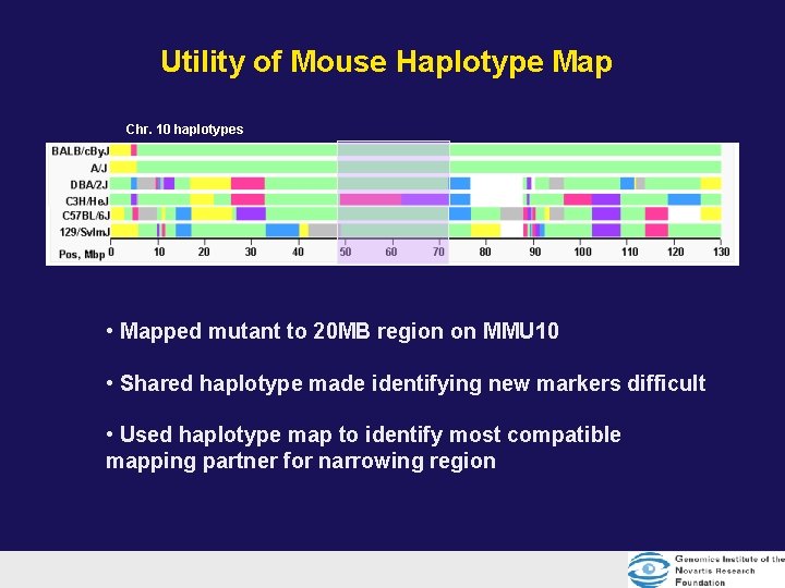 Utility of Mouse Haplotype Map Chr. 10 haplotypes • Mapped mutant to 20 MB Utility of Mouse Haplotype Map Chr. 10 haplotypes • Mapped mutant to 20 MB