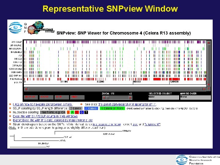 Representative SNPview Window Representative SNPview Window