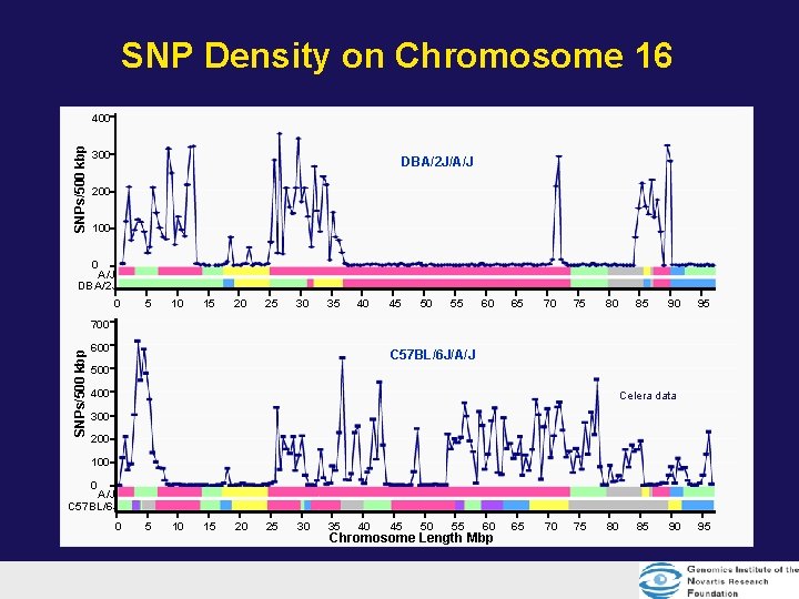 SNP Density on Chromosome 16 SNPs/500 kbp 400 300 DBA/2 J/A/J 200 100 0 SNP Density on Chromosome 16 SNPs/500 kbp 400 300 DBA/2 J/A/J 200 100 0