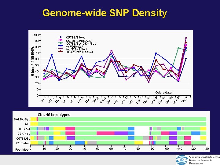 Genome-wide SNP Density 100 C 57 BL/6 J/A/J C 57 BL/6 J/DBA/2 J C Genome-wide SNP Density 100 C 57 BL/6 J/A/J C 57 BL/6 J/DBA/2 J C