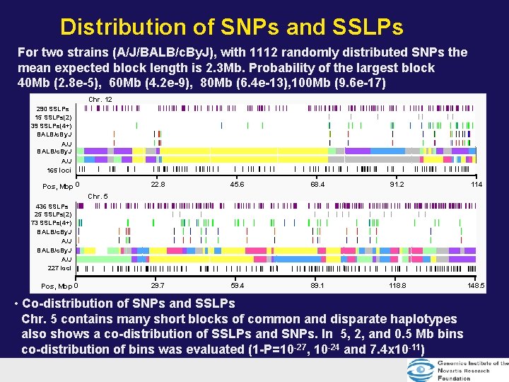 Distribution of SNPs and SSLPs For two strains (A/J/BALB/c. By. J), with 1112 randomly Distribution of SNPs and SSLPs For two strains (A/J/BALB/c. By. J), with 1112 randomly