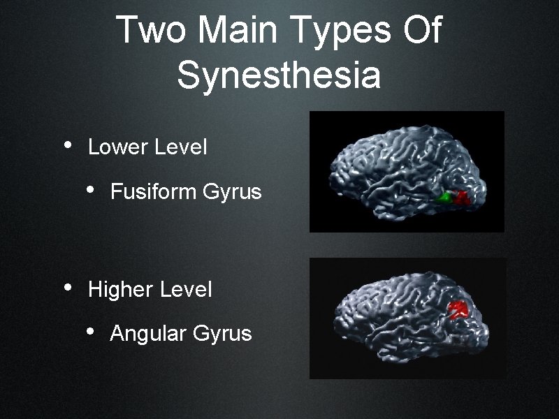 Two Main Types Of Synesthesia • Lower Level • Fusiform Gyrus • Higher Level