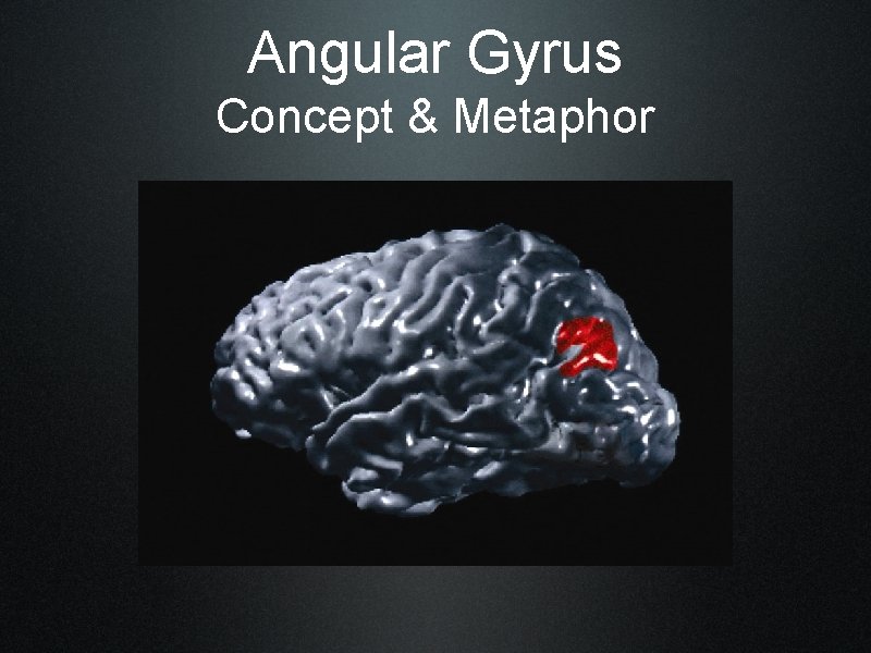 Angular Gyrus Concept & Metaphor 