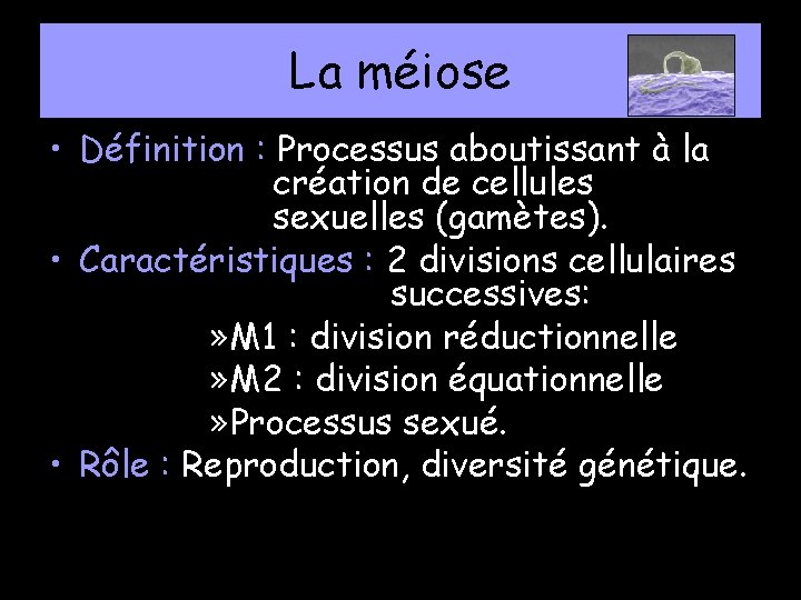 La méiose • Définition : Processus aboutissant à la création de cellules sexuelles (gamètes).