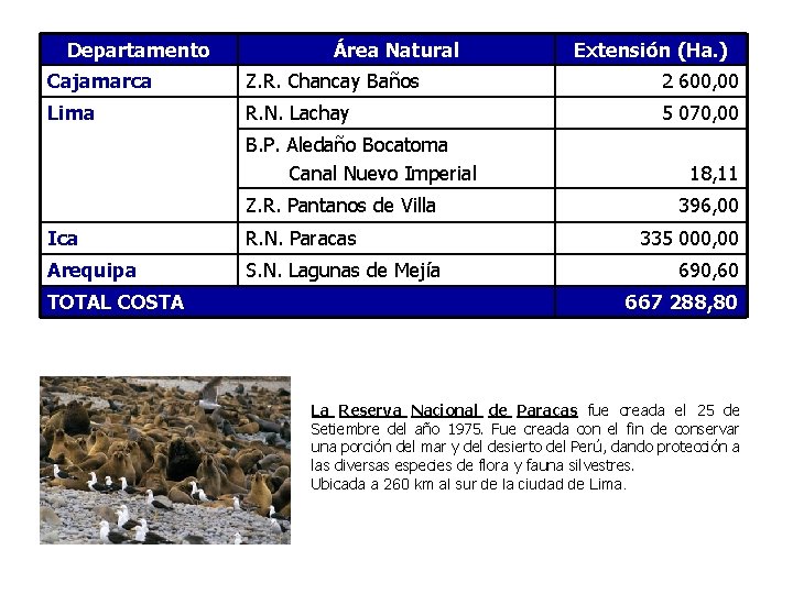 Departamento Área Natural Extensión (Ha. ) Cajamarca Z. R. Chancay Baños 2 600, 00
