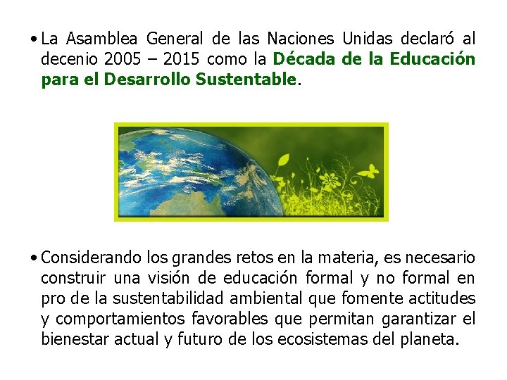  • La Asamblea General de las Naciones Unidas declaró al decenio 2005 –