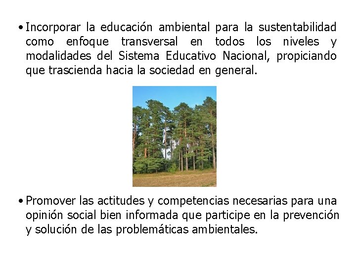 • Incorporar la educación ambiental para la sustentabilidad como enfoque transversal en todos