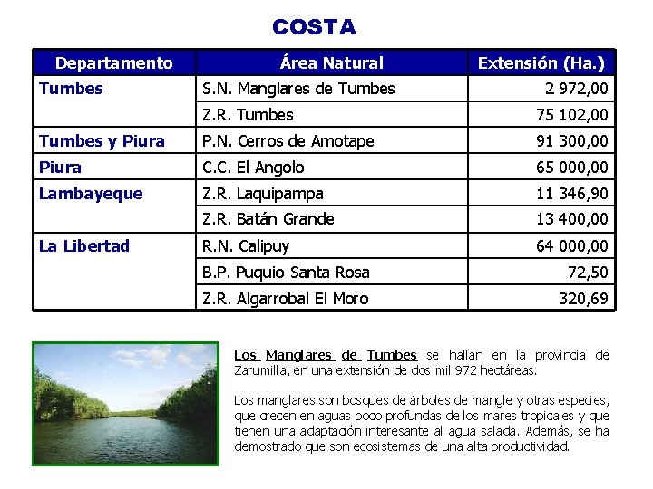 COSTA Departamento Tumbes Área Natural S. N. Manglares de Tumbes Extensión (Ha. ) 2