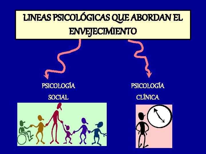 LINEAS PSICOLÓGICAS QUE ABORDAN EL ENVEJECIMIENTO PSICOLOGÍA SOCIAL PSICOLOGÍA CLÍNICA 