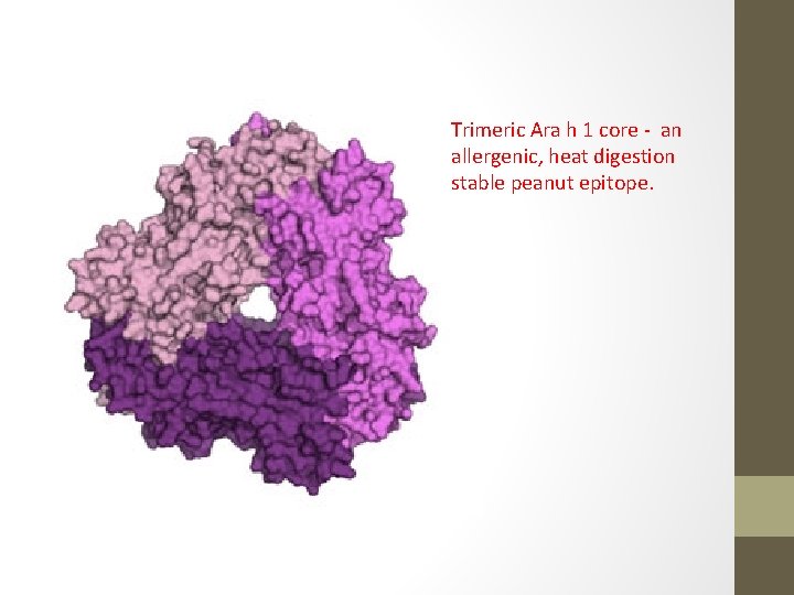 Trimeric Ara h 1 core - an allergenic, heat digestion stable peanut epitope. 