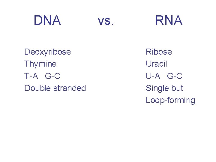 Bacterial Genetics 1 Genetic information Genetic elements Replication