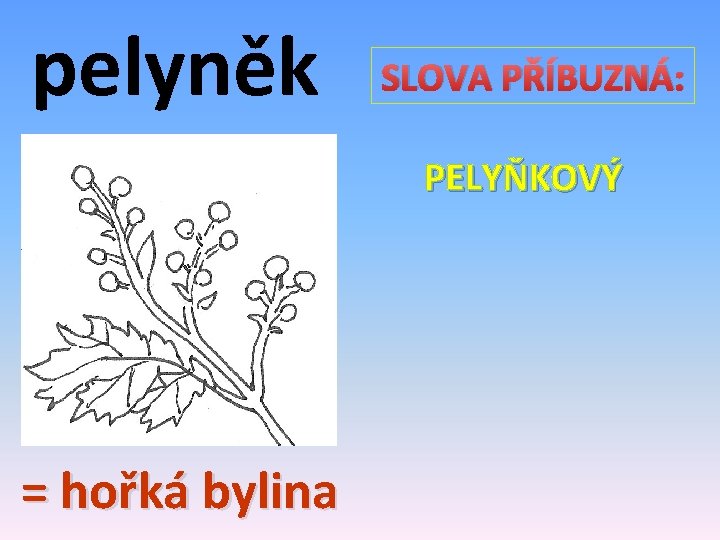 pelyněk SLOVA PŘÍBUZNÁ: PELYŇKOVÝ = hořká bylina 