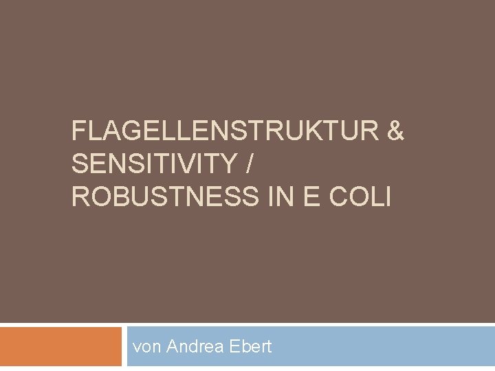 FLAGELLENSTRUKTUR & SENSITIVITY / ROBUSTNESS IN E COLI von Andrea Ebert 
