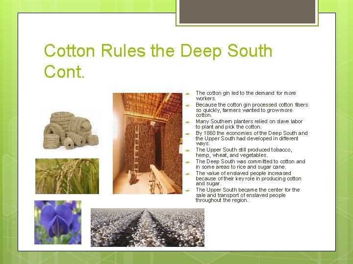Cotton Rules the Deep South Cont. The cotton gin led to the demand for