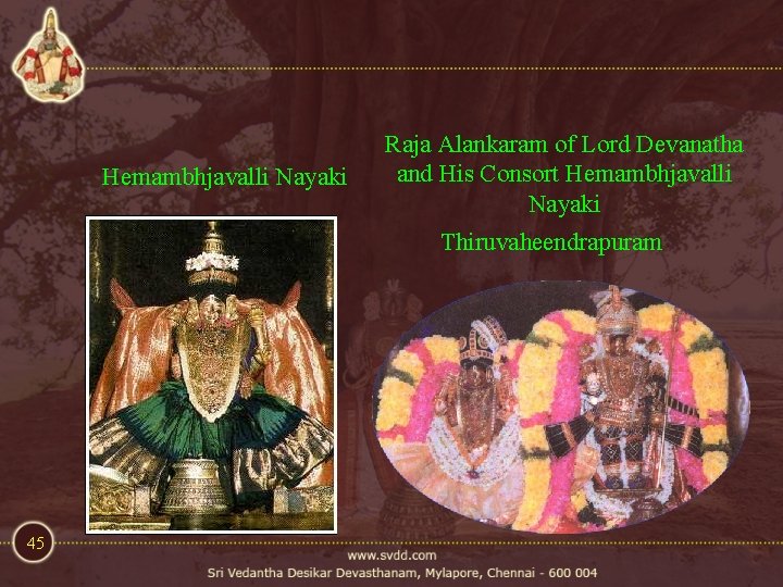 Hemambhjavalli Nayaki Raja Alankaram of Lord Devanatha and His Consort Hemambhjavalli Nayaki Thiruvaheendrapuram 45 Hemambhjavalli Nayaki Raja Alankaram of Lord Devanatha and His Consort Hemambhjavalli Nayaki Thiruvaheendrapuram 45