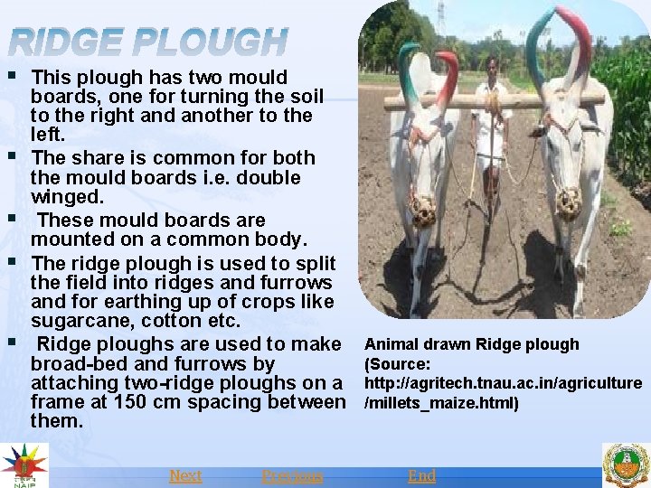 RIDGE PLOUGH § This plough has two mould § § boards, one for turning