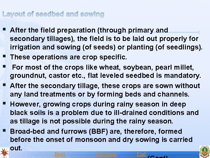 Layout of seedbed and sowing § After the field preparation (through primary and §