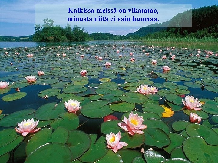 Kaikissa meissä on vikamme, minusta niitä ei vain huomaa. 