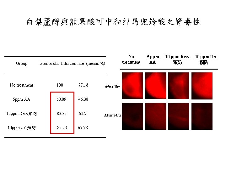 白梨蘆醇與熊果酸可中和掉馬兜鈴酸之腎毒性 Group Glomerular filtration rate (means %) 白梨蘆醇與熊果酸可中和掉馬兜鈴酸之腎毒性 Group Glomerular filtration rate (means %)