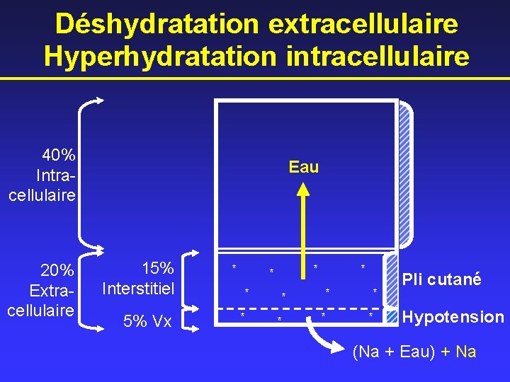 Déshydratation extracellulaire Hyperhydratation intracellulaire 40% Intracellulaire 20% Extracellulaire Eau 15% Interstitiel 5% Vx *