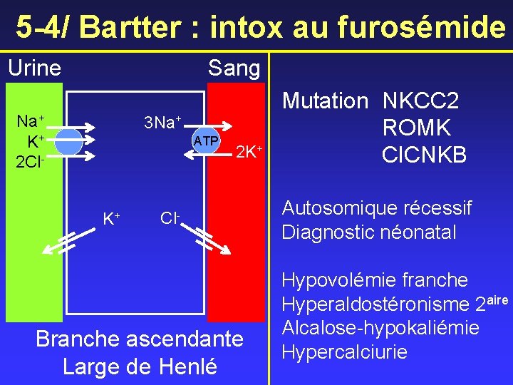 5 -4/ Bartter : intox au furosémide Urine Sang Na+ K+ 2 Cl- 3