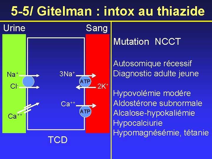 5 -5/ Gitelman : intox au thiazide Urine Sang Mutation NCCT Na+ Autosomique récessif