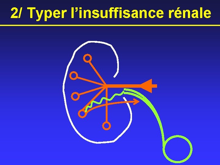 2/ Typer l’insuffisance rénale 