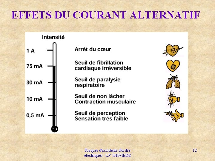 EFFETS DU COURANT ALTERNATIF Risques d'accidents d'ordre électriques - LP THIVIERS 12 