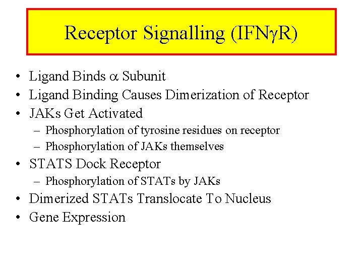 Receptor Signalling (IFN R) • Ligand Binds Subunit • Ligand Binding Causes Dimerization of