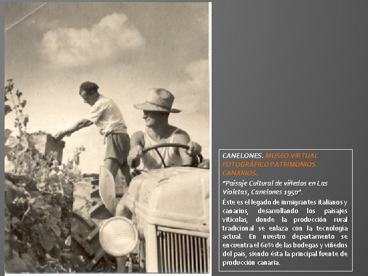 CANELONES. MUSEO VIRTUAL FOTOGRÁFICO PATRIMONIOS CANARIOS. "Paisaje Cultural de viñedos en Las Violetas, Canelones CANELONES. MUSEO VIRTUAL FOTOGRÁFICO PATRIMONIOS CANARIOS. "Paisaje Cultural de viñedos en Las Violetas, Canelones