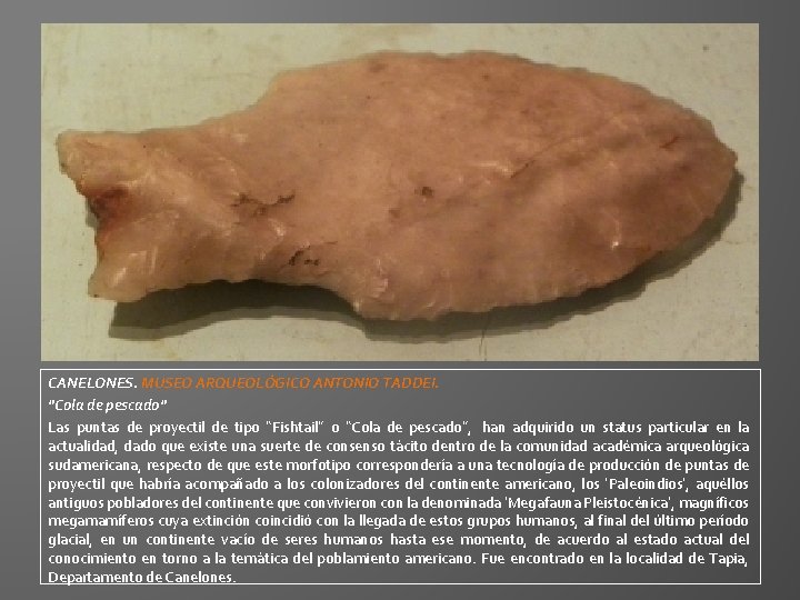 CANELONES. MUSEO ARQUEOLÓGICO ANTONIO TADDEI. "Cola de pescado" Las puntas de proyectil de tipo CANELONES. MUSEO ARQUEOLÓGICO ANTONIO TADDEI. "Cola de pescado" Las puntas de proyectil de tipo