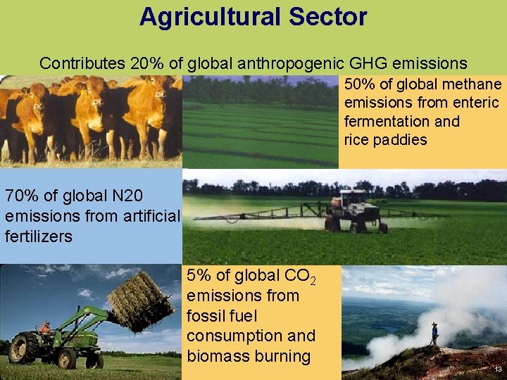 Agricultural Sector Contributes 20% of global anthropogenic GHG emissions 50% of global methane emissions