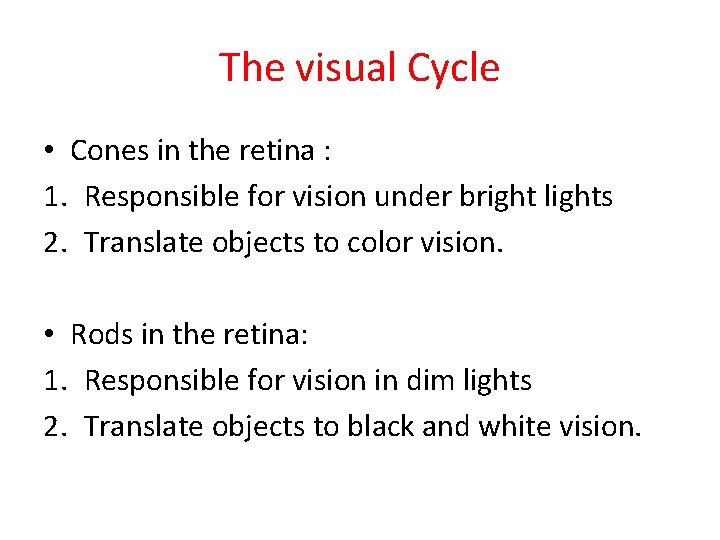 The visual Cycle • Cones in the retina : 1. Responsible for vision under