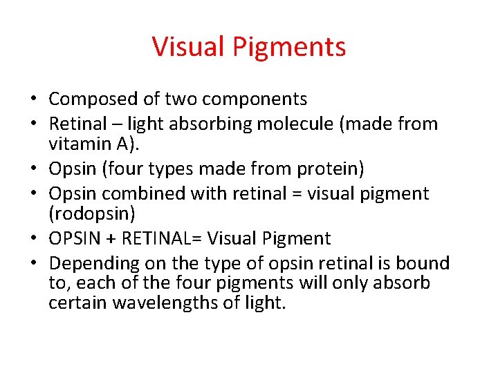 Visual Pigments • Composed of two components • Retinal – light absorbing molecule (made