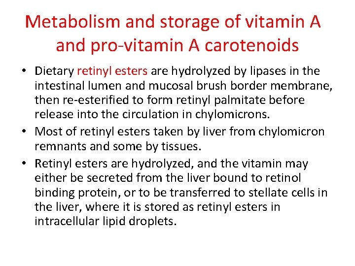 Metabolism and storage of vitamin A and pro-vitamin A carotenoids • Dietary retinyl esters