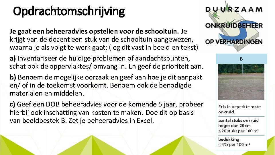 Opdrachtomschrijving Je gaat een beheeradvies opstellen voor de schooltuin. Je krijgt van de docent