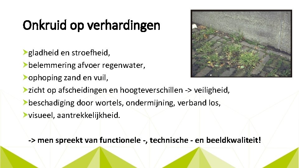 Onkruid op verhardingen gladheid en stroefheid, belemmering afvoer regenwater, ophoping zand en vuil, zicht