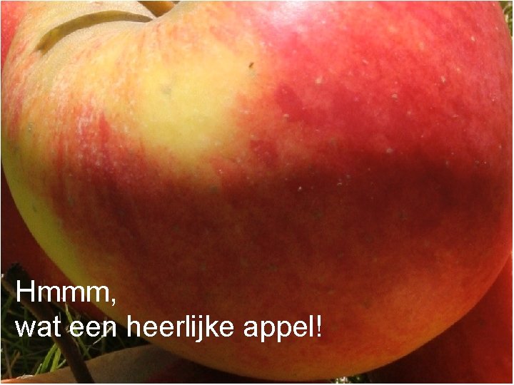 Hmmm, wat een heerlijke appel! 