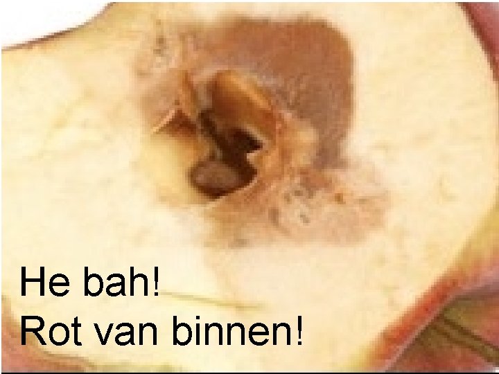 He bah! Rot van binnen! 