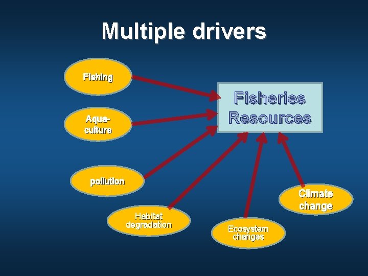 Multiple drivers Fishing Fisheries Resources Aquaculture pollution Habitat degradation Climate change Ecosystem changes 