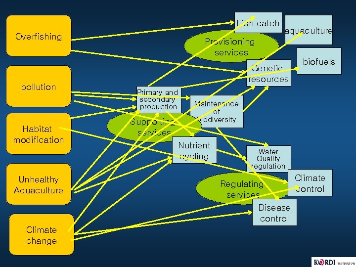 Fish catch Overfishing pollution Habitat modification Unhealthy Aquaculture Climate change aquaculture Provisioning services Genetic Fish catch Overfishing pollution Habitat modification Unhealthy Aquaculture Climate change aquaculture Provisioning services Genetic