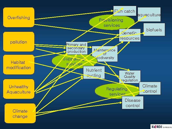 Fish catch Overfishing pollution Habitat modification Unhealthy Aquaculture Climate change aquaculture Provisioning services Genetic