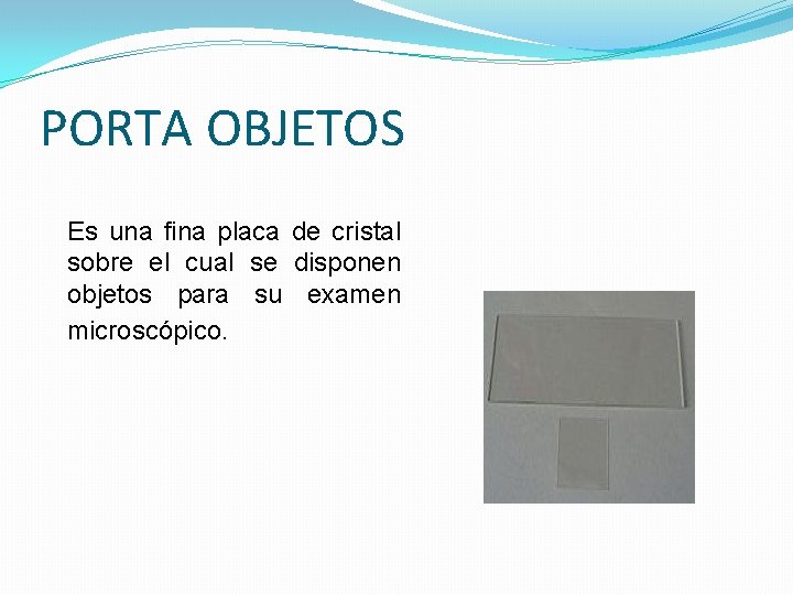 PORTA OBJETOS Es una fina placa de cristal sobre el cual se disponen objetos PORTA OBJETOS Es una fina placa de cristal sobre el cual se disponen objetos
