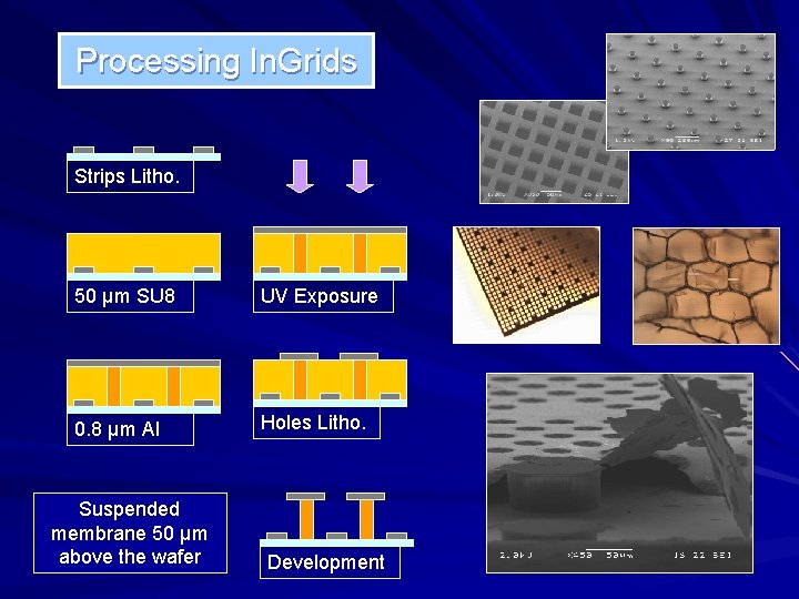 Processing In. Grids Strips Litho. 50 µm SU 8 UV Exposure 0. 8 µm