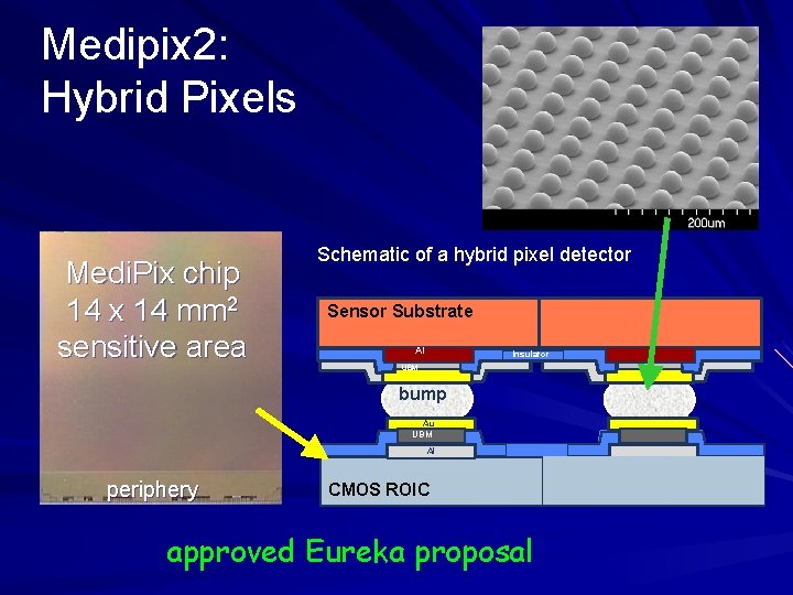 Medipix 2: Hybrid Pixels Medi. Pix chip 14 x 14 mm 2 sensitive area