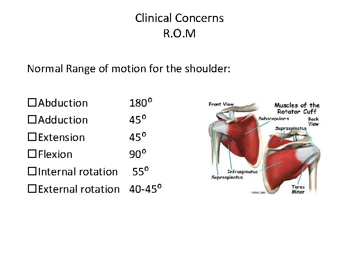 Clinical Concerns R. O. M Normal Range of motion for the shoulder: Abduction Adduction