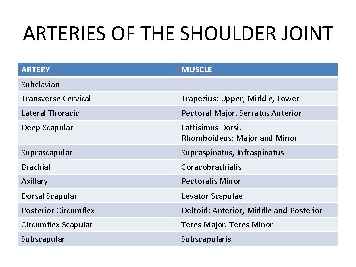 ARTERIES OF THE SHOULDER JOINT ARTERY MUSCLE Subclavian Transverse Cervical Trapezius: Upper, Middle, Lower