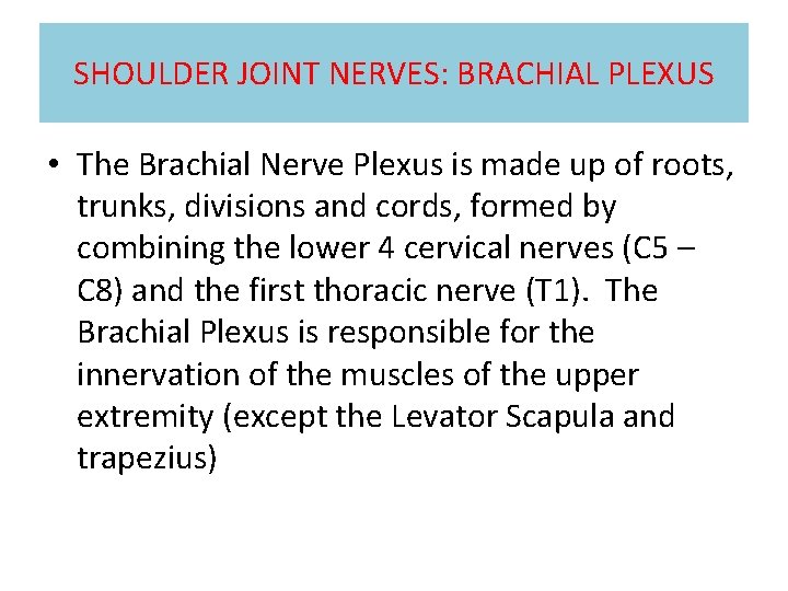 SHOULDER JOINT NERVES: BRACHIAL PLEXUS • The Brachial Nerve Plexus is made up of