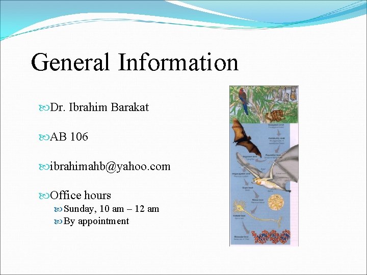 General Information Dr. Ibrahim Barakat AB 106 ibrahimahb@yahoo. com Office hours Sunday, 10 am General Information Dr. Ibrahim Barakat AB 106 ibrahimahb@yahoo. com Office hours Sunday, 10 am